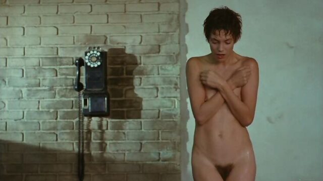 Джейн Биркин (Jane Birkin nude scenes in "Je taime moi non plus" 1976)