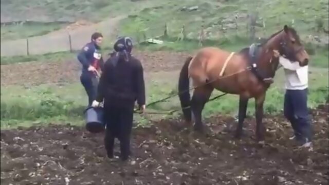 Абдулрашид Садулаев за 4 месяца до золота Рио