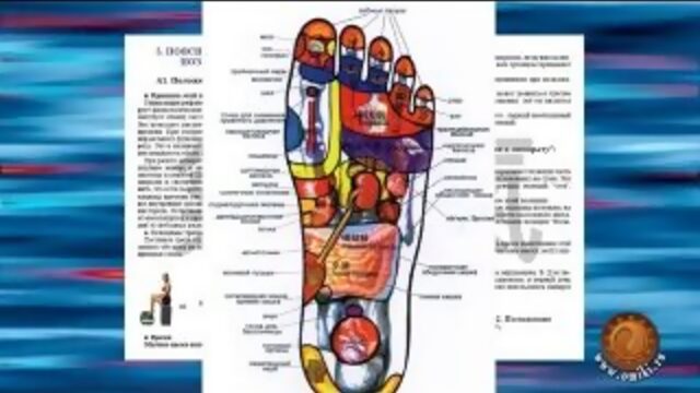 СЦЭК Tiens (Тяньши). Описание работы тренажера